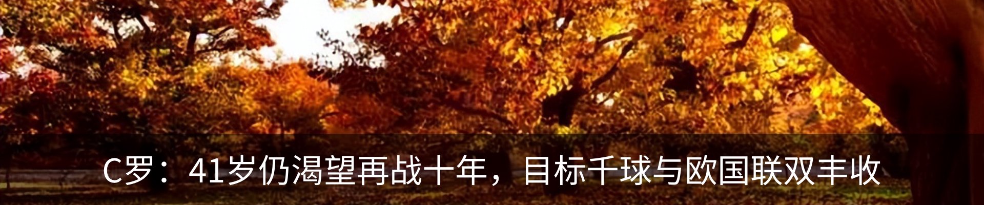 最新动态